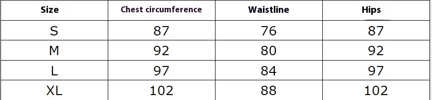 Conjunto de bikini de dos piezas - Vant